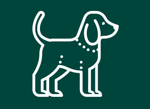 travelling-with-pets-450-x-350